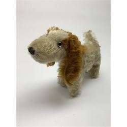 Farnell type small spaniel dog c1930s with white body and cinnamon ears and nape, glass eyes and vertically stitched nose and mouth L9