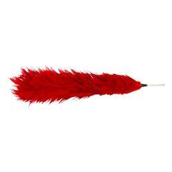 Coldstream guards officers red plume in tin, plume L45cm, tin L54cm