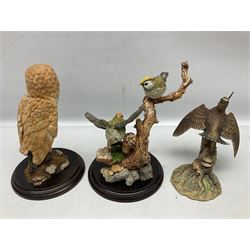 Quantity of Country Artists figures, comprising Woodland Visitors G800, Otter Family CA 552, Barn Owl CA 431, Wren CA 81, Mouse and Acorn CA784, Kingfisher - Broadway CA422, Early Days - Barn Owlets CA 720, together with two Border Fine Arts figures comprising Woodcock by James Harvey, 1985 and First Outing, Many with original boxes (9)