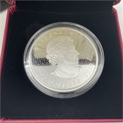 Royal Canadian Mint 2020 'Pulsating Maple Leaf' two ounce fine silver ten dollar coin, cased with certificate