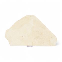 Fossilised fish group in a single matrix; shoal of fossilised fish (Knightia alta), age; Eocene period, location; Green River Formation, Wyoming, USA, matrix L56cm, H32cm