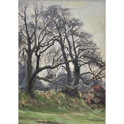 Marie Hartley (Yorkshire 1905-2006): 'Winter Trees near Healaugh', oil on canvas signed, titled on printed label verso 35cm x 29cm 