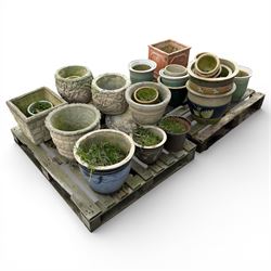 Large collection of plant pots (24)