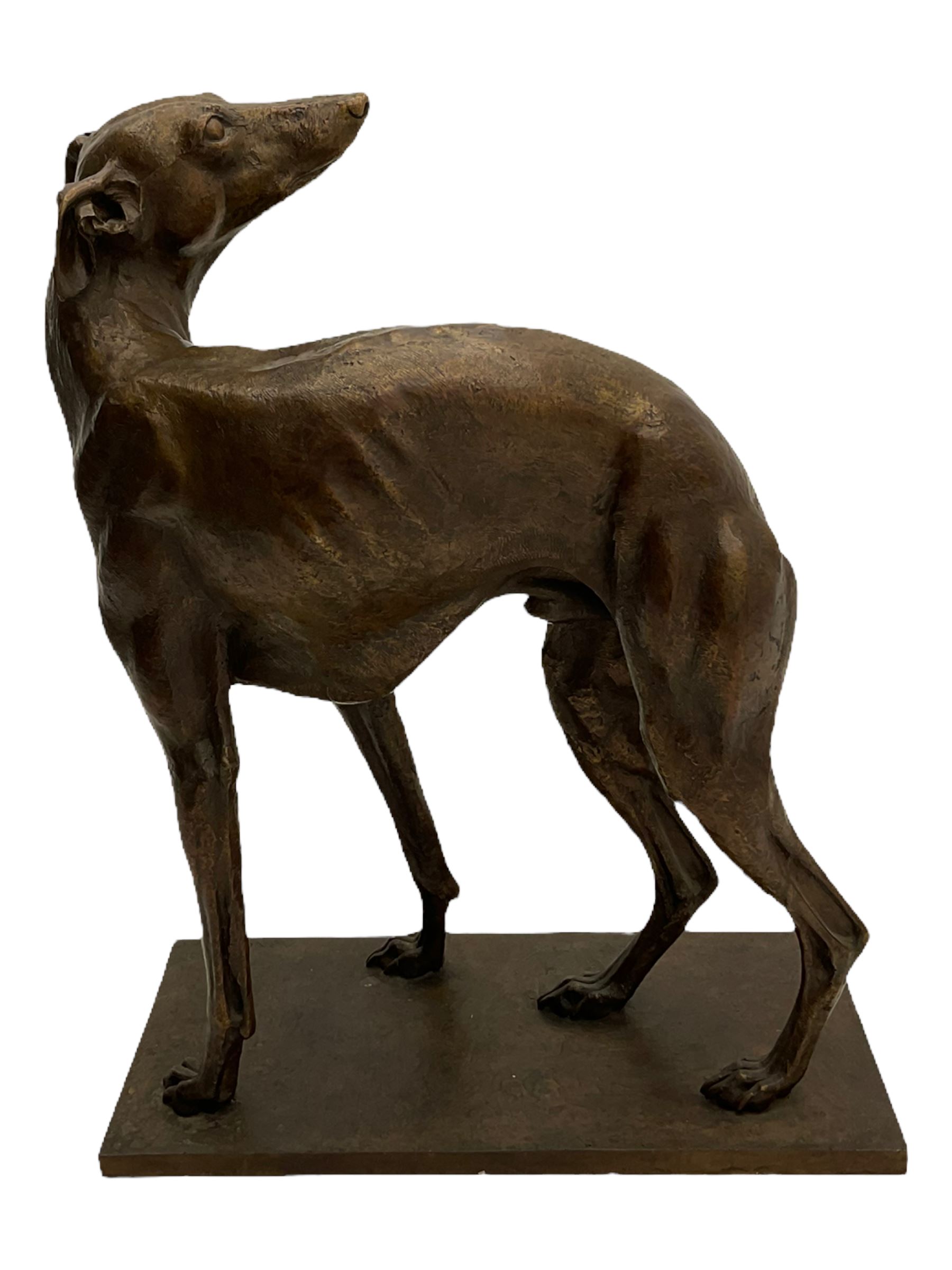 Sally Arnup FRBS, ARCA (1930-2015): Whippet Standing, bronze, signed and numbered VIII/X, upon short rectangular plinth, overall H63cm L49cm W23.5cm 


