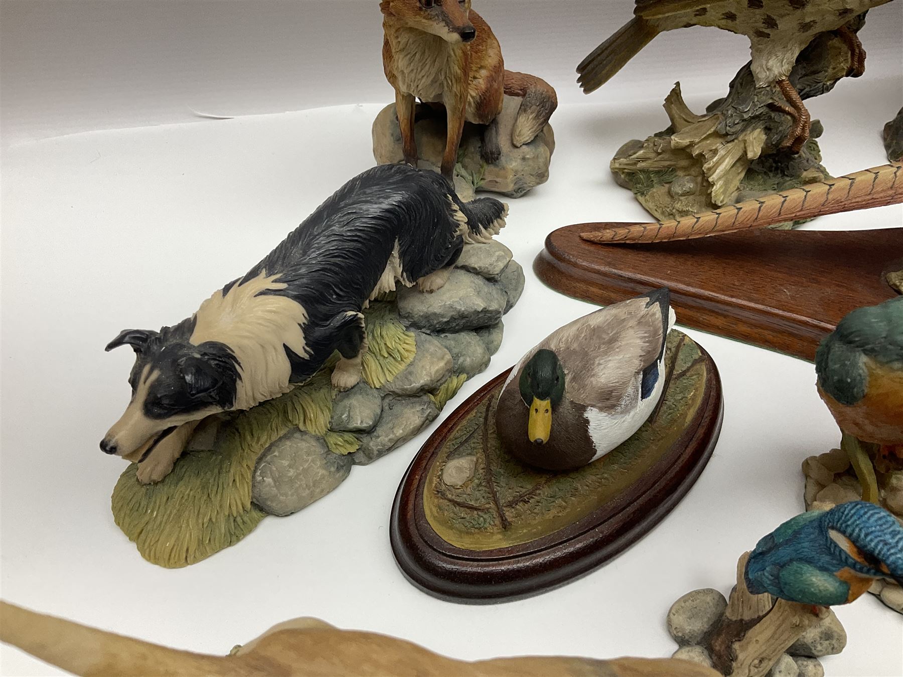 British wildlife, dogs and other animal figures, to include examples by Border Fine Arts, Teviotdale and David Hughes, etc
