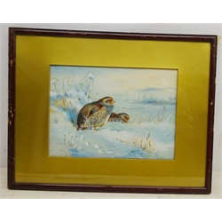  John Hammond Harwood (British 1904-1980): Grey Partridges in the Snow, watercolour after Archibald Thorburn signed 19cm x 26.5cm  