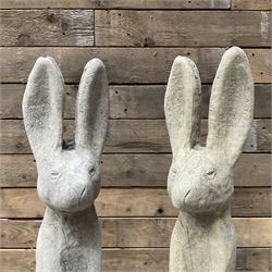 Pair cast stone garden sitting Woody Hares