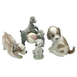 Four Lladro figures, comprising Playing Poodles in matte finish no 11258, Friend for Life 7685, Little Hunter no 6212 and Gentle Surprise no 6210, three with original boxes, largest example H15cm 