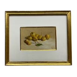 Susie Philipps (British Contemporary): Yellow Cherries, oil on paper signed with monogram 10cm x 15cm