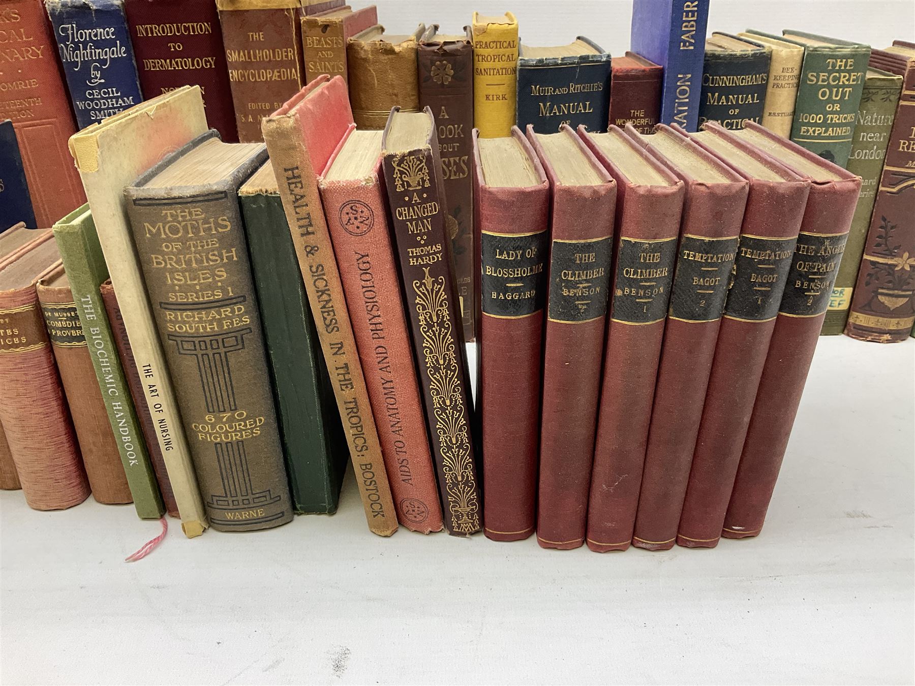 Richie, Ewing J; The Life and Times of W.E Gladstone by J Ewing Ritchie, six volumes, Walter Scott, B; The Imperial edition of the Waverley Novels, two volumes, Stebbing M.E; colour of the Garden and other books, in two boxes