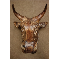  Large cast metal wall hanging bust of a bull, D51cm  