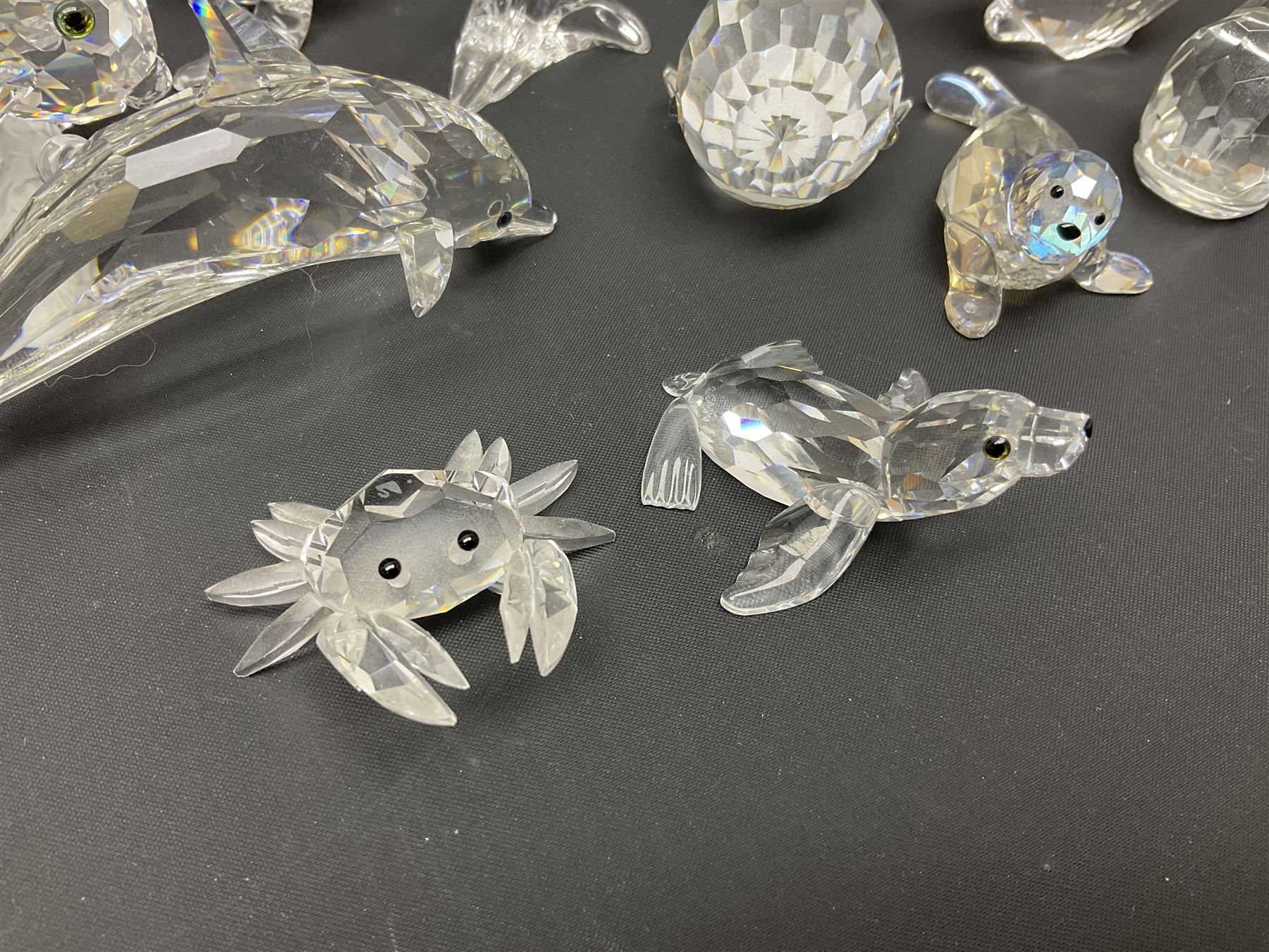 Nineteen Swarovski Crystal sea creatures, to include dolphins, seals, puffer fish, octopus, crabs, together with a quantity Swarovski Crystal shells 