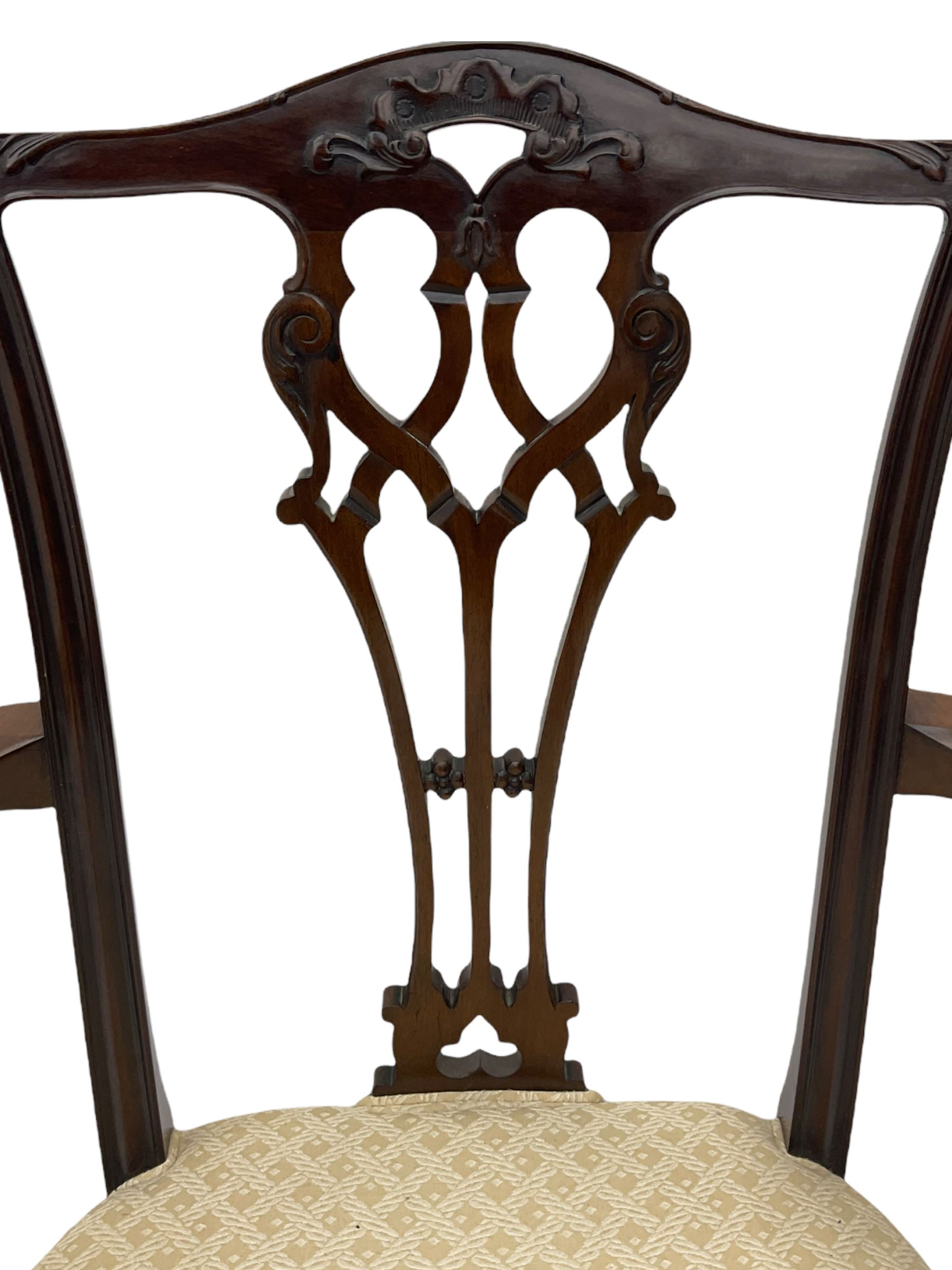 Chippendale design mahogany framed armchair, ball and claw feet, upholstered seat