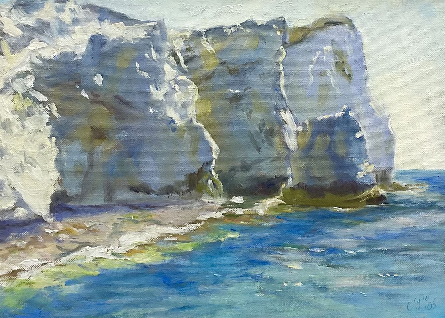 Catherine Tyler (British 1949-): 'Cliffs at Seaford - Sussex', oil on canvas signed, inscribed verso 30cm x 40cm