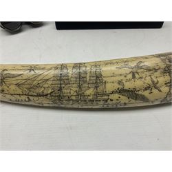 Horn handled magnifying glass and letter opener cased set, replica Scrimshaw in the form of a tusk titled The Ship Charles W Morgan New Bedford and pair of binoculars