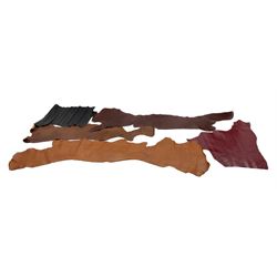 Leather: approximately twelve skins to include large offcuts and part skins including red, tan, brown and black examples