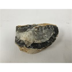 Four polished blue agate geodes, largest H10cm, L18cm