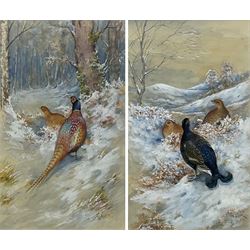 James Stinton (British 1870-1961): Pheasants and Grouse in Winter Landscapes, pair watercolours heightened in white signed 28cm x 16.5cm (2)