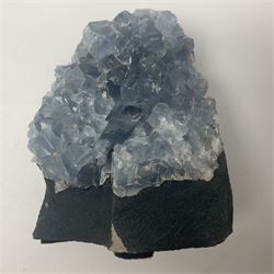 Celestine crystal geode cluster, with well-defined crystals of various sizes, H13cm 