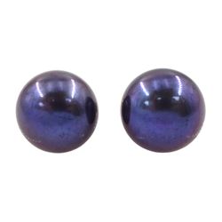 Pair of 9ct gold blue / purple cultured pearl stud earrings