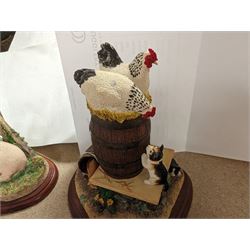 Four Border Fine Arts figure groups, to include No Peace, Kitten Capers, Cockerel and Piglet at Waterer and In Clover