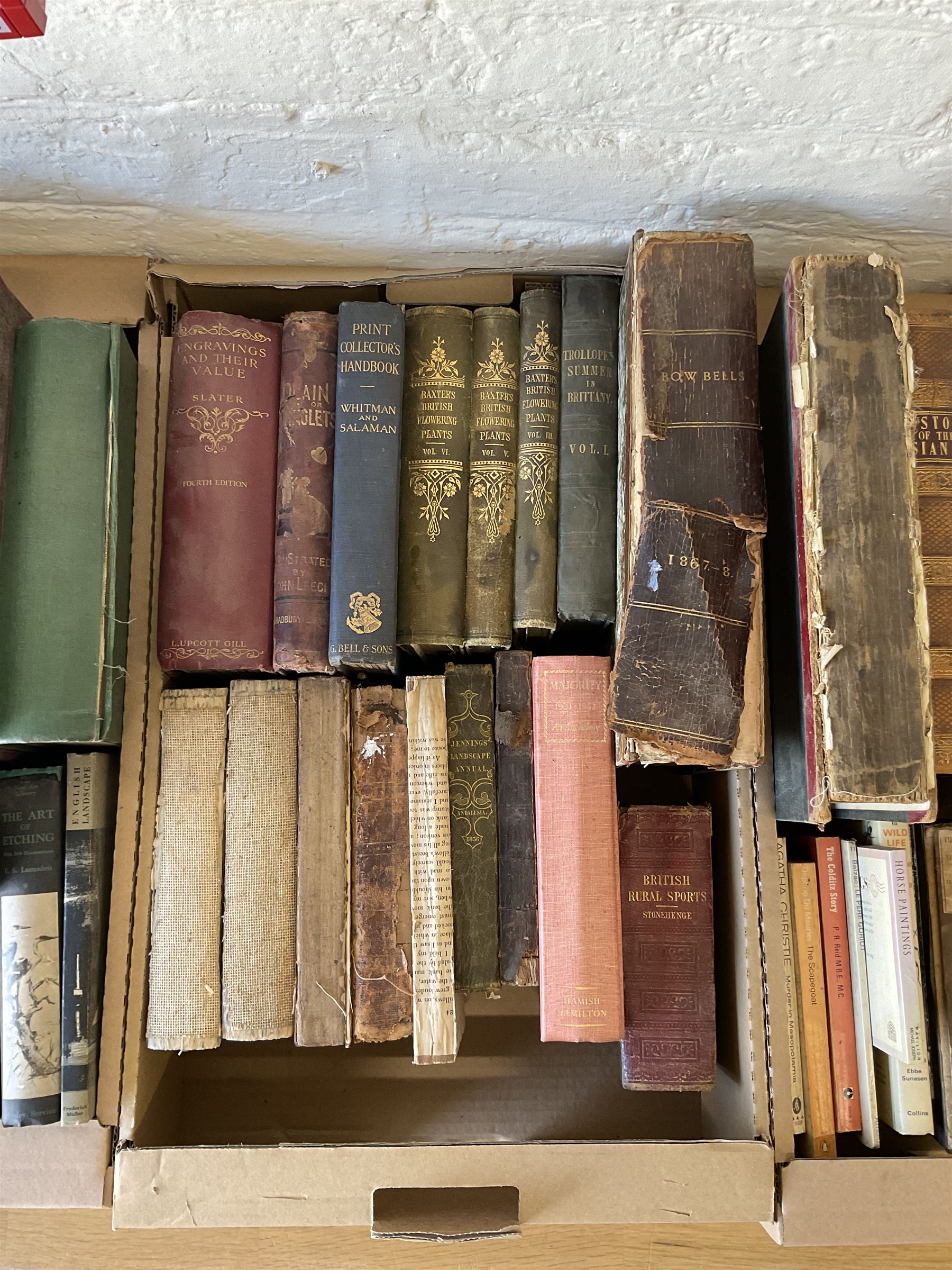 Large collection of 19th century and later books, themes including art, natural history, geography, etc, including Cassell’s Gazeteer of Great Britain and Ireland (six volumes), Tyrrell, The History of the War with Russia, Baxter’s British Flowering Plants (three volumes), Sidney, The Book of the Horse, The Book of the Dog, Bewick’s British Birds, etc (four boxes)