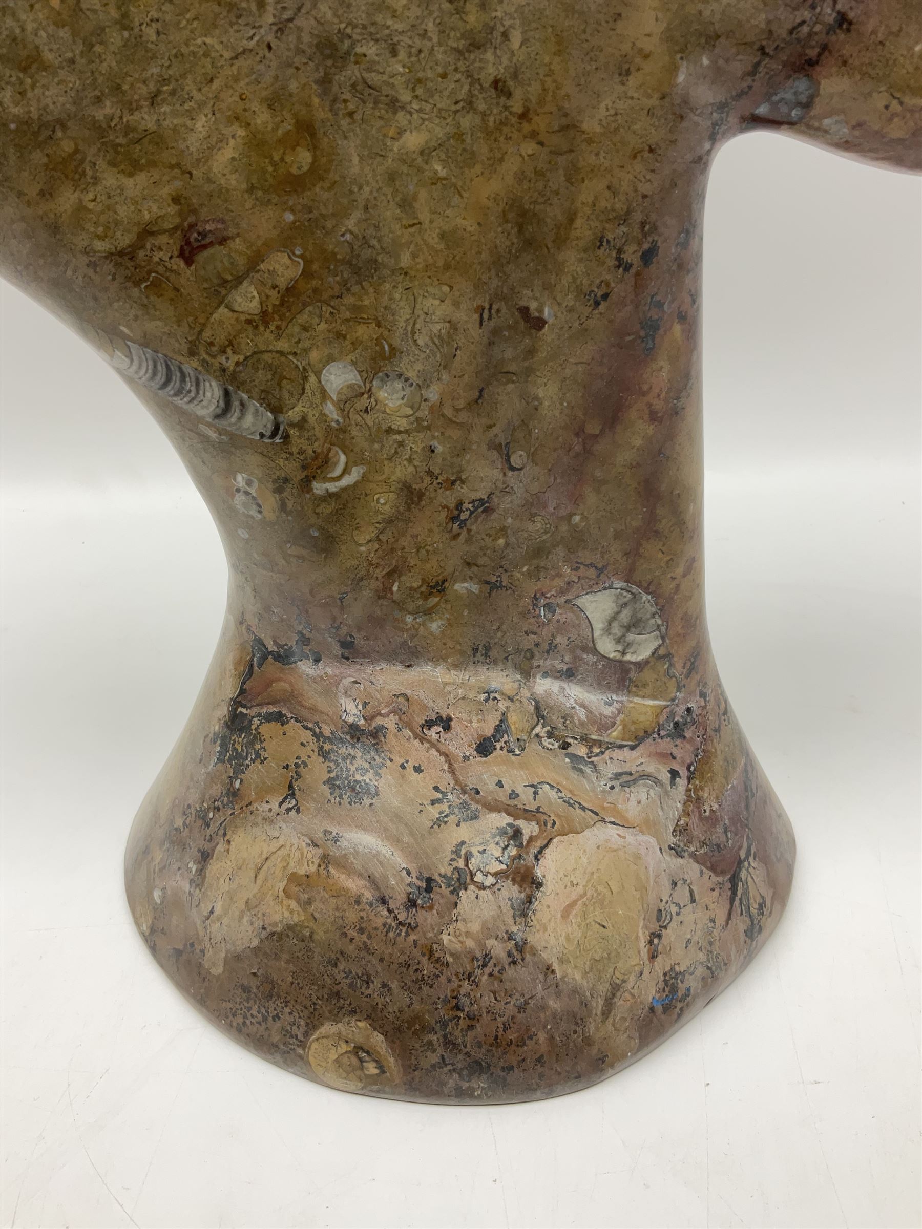 Goniatite sculpture, displaying two Goniatites within a polished and shaped matrix, age; Devonian period, H56cm