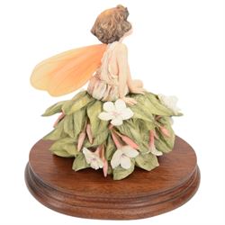 Nine Border Fine Arts Fairies figures, to include Jasmine fairy B0415, The White Bindweed Fairy CF26, Holly Fairy B0417,Wild Cherry Fairy CF25, Strawberry Fairy B0115, The Wind-Flower Fairy B0847, and Narcissus Flower Fairy CF24