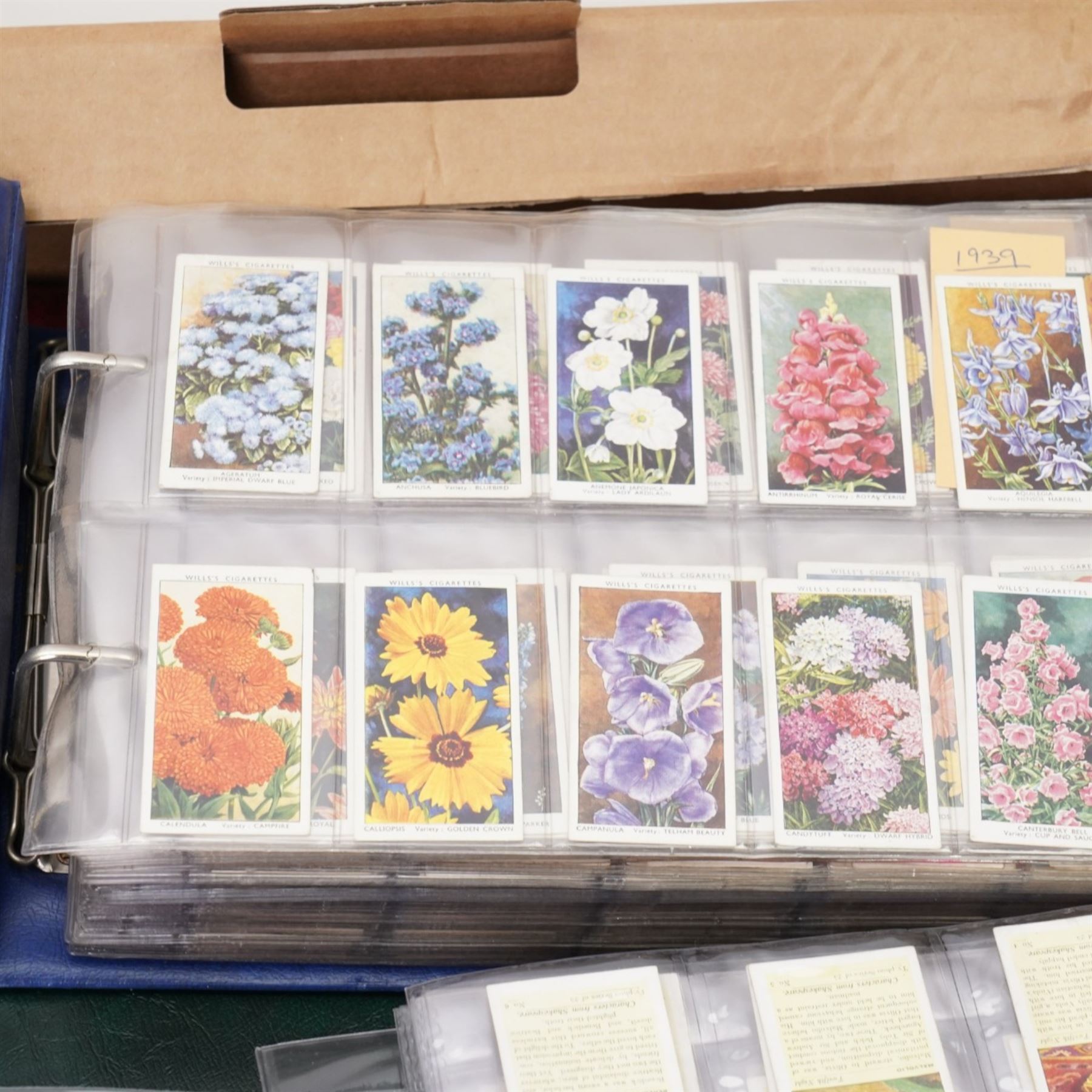 Collection of cigarette and trade card albums, sets and part sets including Raydex 'African Types', Wills 'Famous Picture in 48 sections', Players 'Cricketers 1938', 'Film Stars 1938, etc