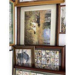 Large collection of framed cigarette cards of ornithological subject matter, together with other framed bird pictures, in one box (qty)