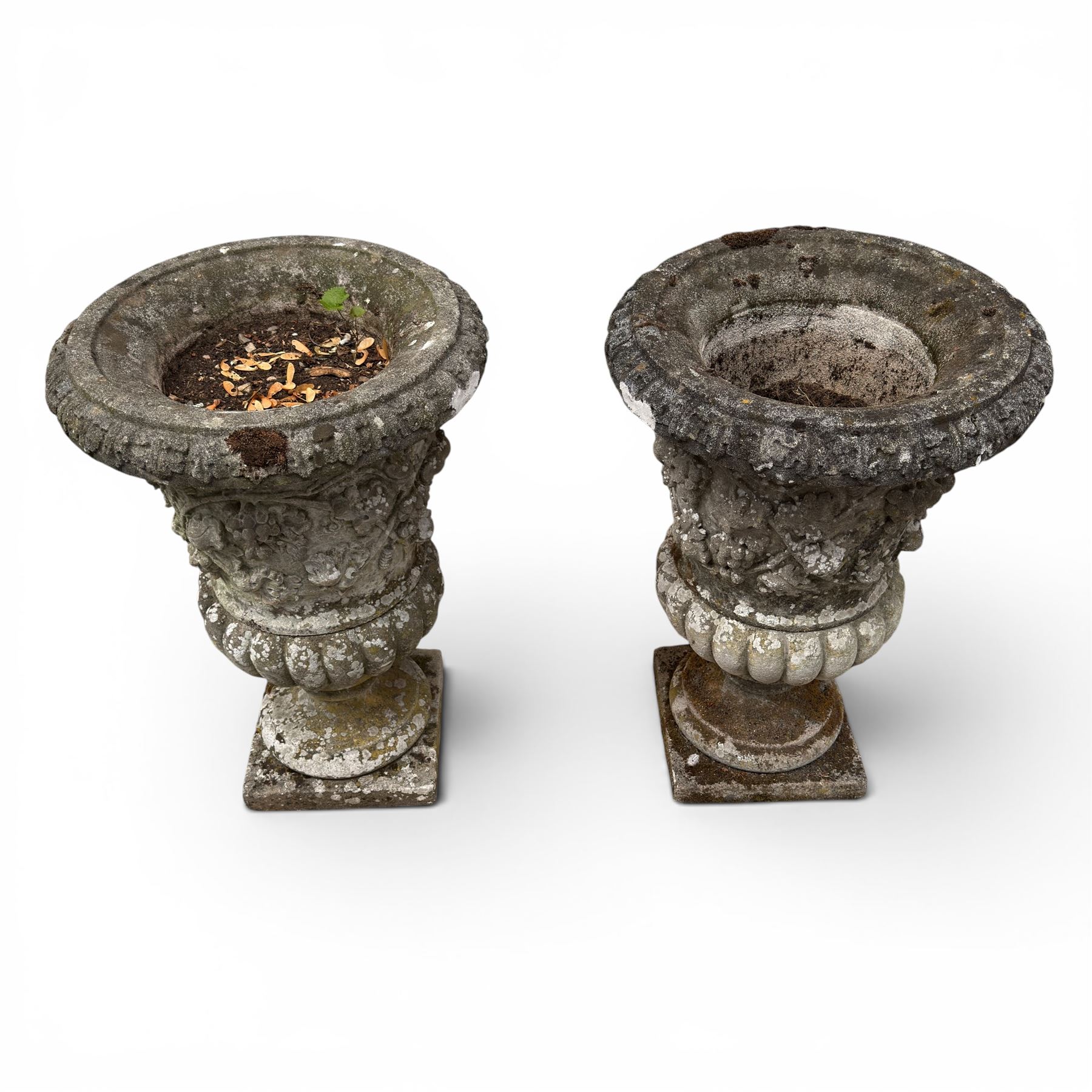 Pair of quality antique weathered three-piece composite stone garden urns, the flared rim moulded with repeating acanthus leaves, over a deep-relief campana body decorated with fruiting grapevines and ivy leaves, the gadrooned underbelly over a turned socle and square base