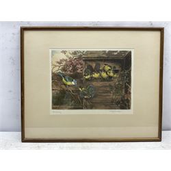 Winifred Maria Louise Austen (British 1876-1964): 'Tom Tit Family', artist's proof coloured etching signed and titled in pencil, with Warwick Galleries blindstamp 22cm x 30cm