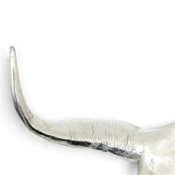 Contemporary cast metal bull skull wall ornament, polished silver finish with textured detailing and outstretched curved horns  
