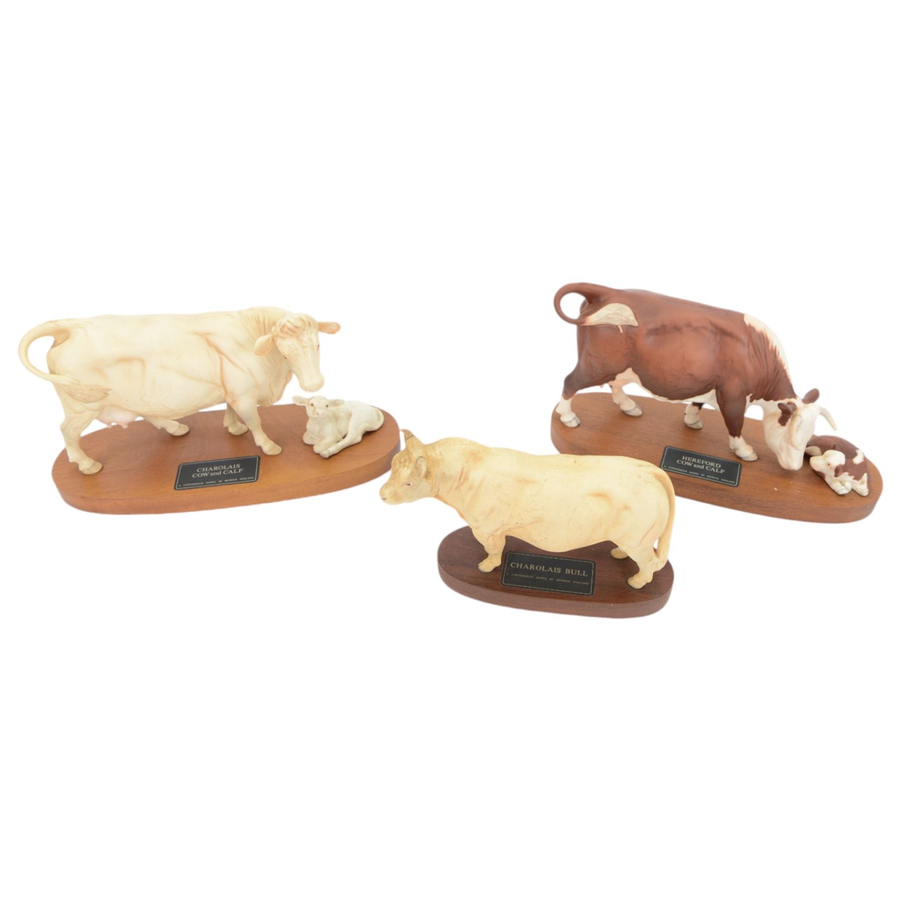 Three Beswick Connoisseur Cattle: Hereford Cow and Calf, Charolais Cow and Calf and Charolais Bull, all on wooden plinths, H20cm