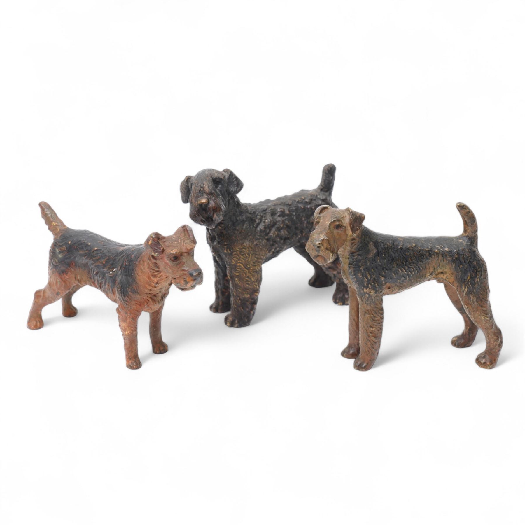 Three cold painted bronze terriers, two Airedales and one Kerry Blue, the latter stamped on the
underside 'Austria', largest W7.5cm