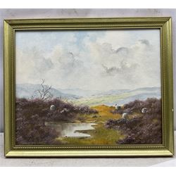 Lewis Creighton (British 1918-1996): Sheep in the Heather, oil on board signed 39cm x 49cm 