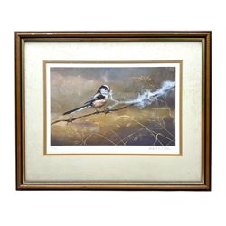 Robert E Fuller (British 1972-): Long Tailed Tit, limited edition print signed in pencil, 19cm x 31cm