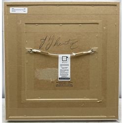 John Thornton (Northern British 1944-): Gorse, mixed media signed with initials, further signed verso 18cm x 17cm 