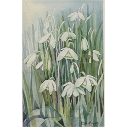  Snowdrops, 'High Summer' and 'Dobb Cross Lane', three watercolours by Elizabeth Anne Fryers and Ian Fryers and Firenze, watercolour signed max 43cm x 42cm (4)  