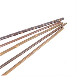 Five walking sticks, to include thumb stick and crooks 