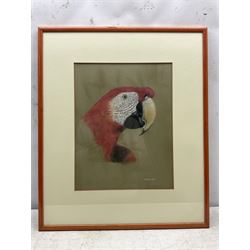 Georges Rossi (20th century): Parrot, pastel signed 39cm x 30cm