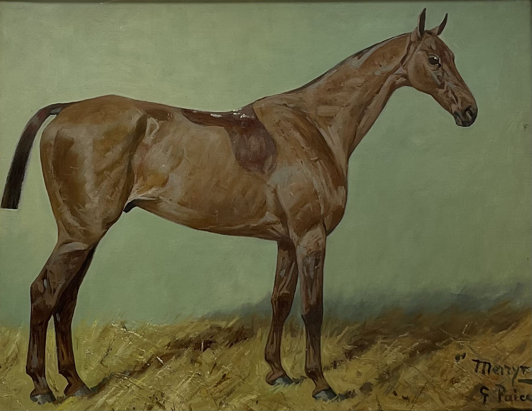 George Paice (British 1854-1925): 'Merryman' Portrait of a Hunter, oil on canvas signed titled and dated '11, 34cm x 44cm
Provenance: private collection; with David Duggleby Ltd. 26th November 2012 painted for the previous vendor's family