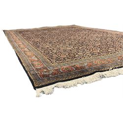 Persian Herati indigo ground rug, the field decorated with repeating Herati motifs, floral design border within guard stripes 