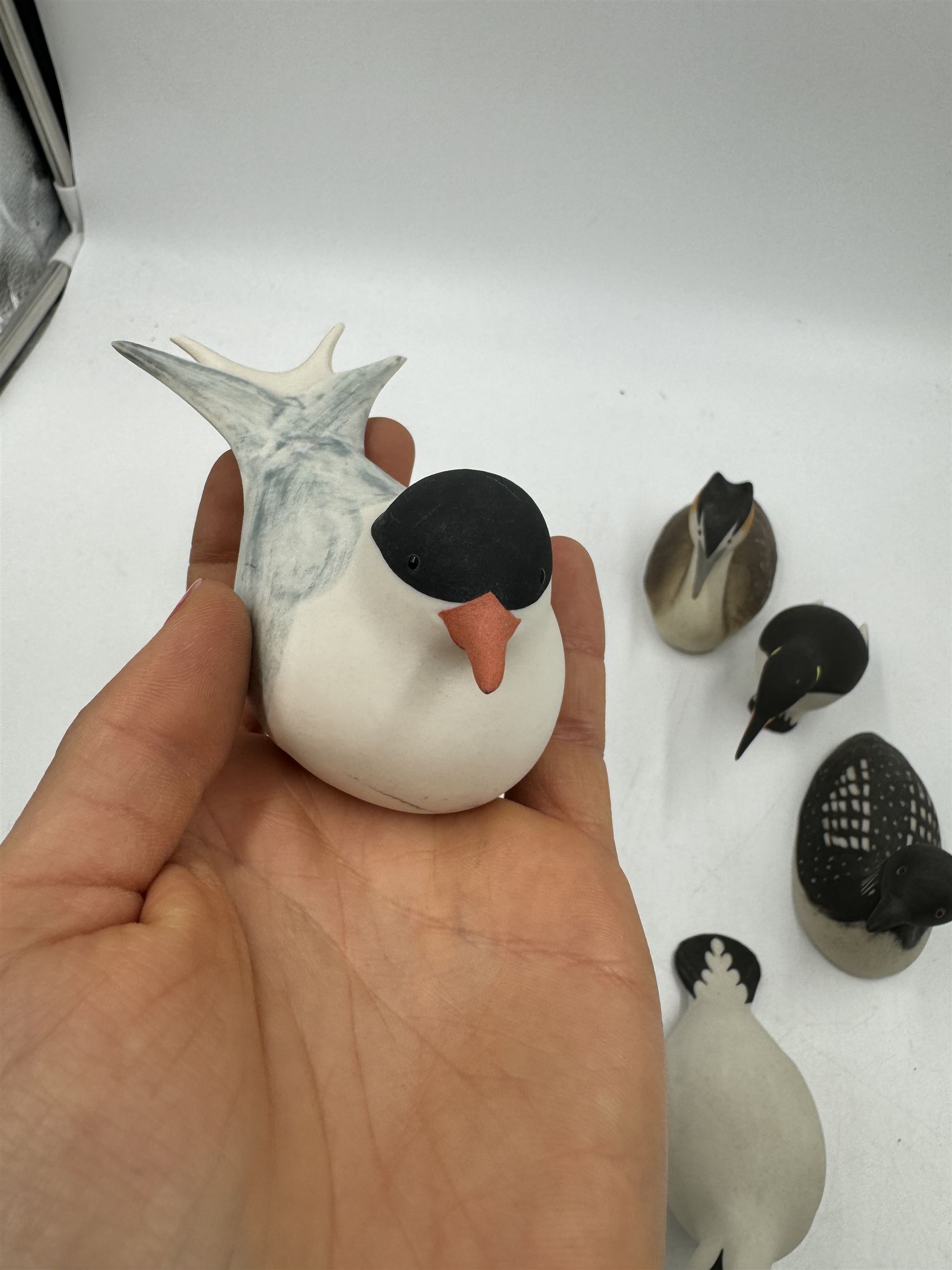 Group of eleven Scottish 'Isle of Arran' bisque porcelain birds, to include Great Northern Diver, Eider, great Crested Greebe, Artic Tern, King Penguin, etc.
