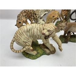 Ten Franklin Mint National wildlife Foundation Big Cats of the World figures to include, White Bengal Tiger, Jaguar, Cougar, Cheetah, Clouded Leopard etc, with display stand