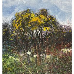 John Thornton (Northern British 1944-): Gorse, mixed media signed with initials, further signed verso 18cm x 17cm 