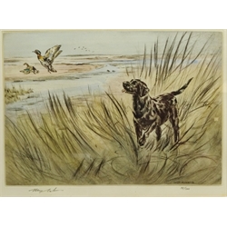  Henry Wilkinson (British 1921-2011): Labrador and Ducks, limited edition dry point etching No.75/100 signed 27cm x 37m  