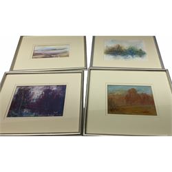 Madeleine Eyland (Belgian/British 1930-2021): Collection of abstract pastels, approx 21, max 19cm x 28cm 
Provenance: artist's studio collection. Marie-Madeleine Eyland (neé Legrain) was born in 1930 at Floriffoux, Belgium; she lived most of her life in Scarborough working as a nurse and an artist.