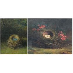 English School (early 20th century): Speckled and Blue Eggs in Nest, oil on canvas and oil on board unsigned max 34cm x 29cm (2)