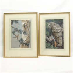 William Hutton Riddell (British 1880-1947): Owl with Mouse and Birds in a Birch Tree, pair watercolours and gouache signed  36cm x 22cm (2)